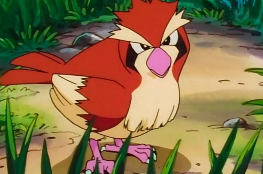 Pidgey - #016