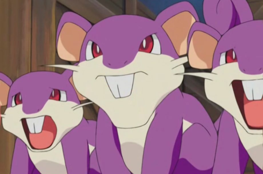 Rattata - #019