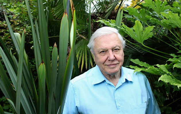 David Attenborough Planet Earth 3