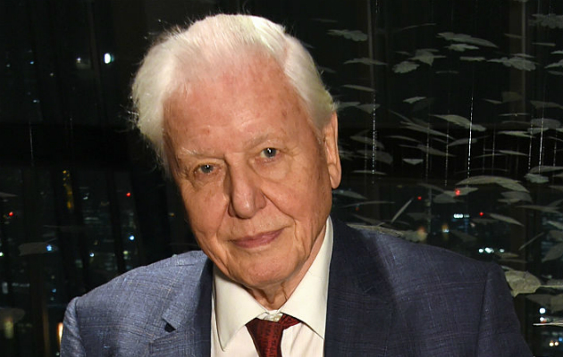 David Attenborough Planet Earth 3