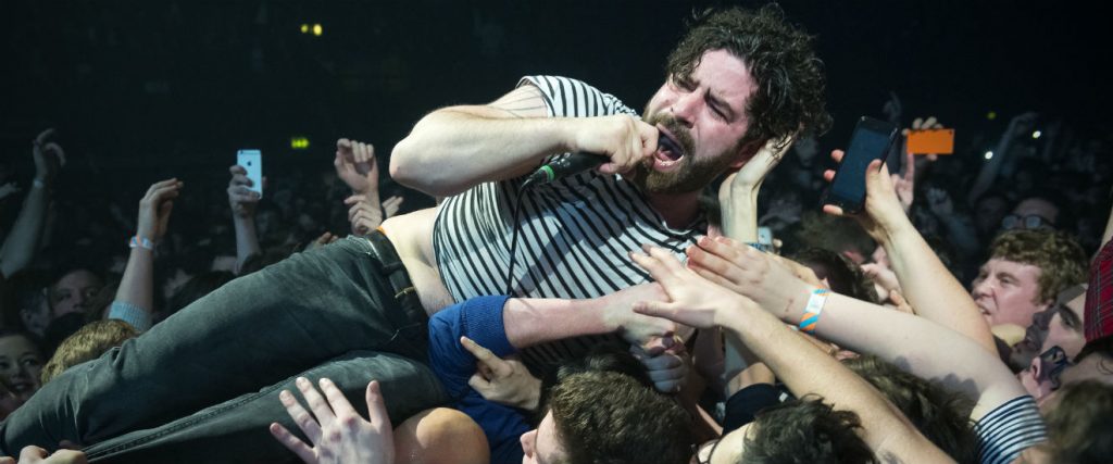 Foals