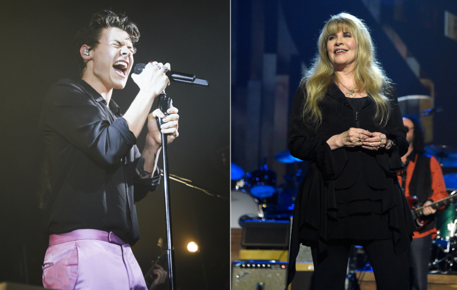 Harry Styles and Stevie Nicks