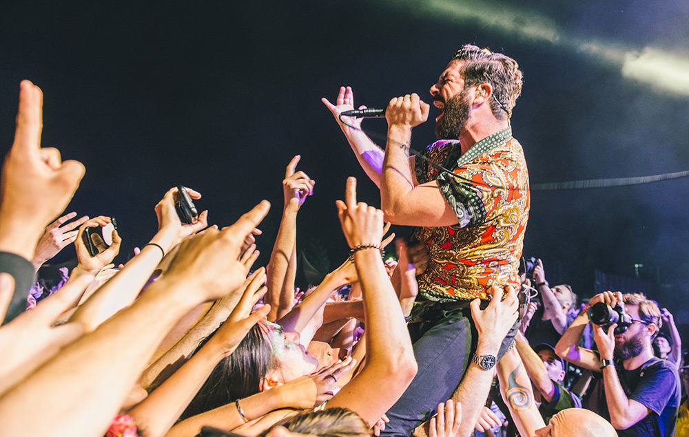 Foals