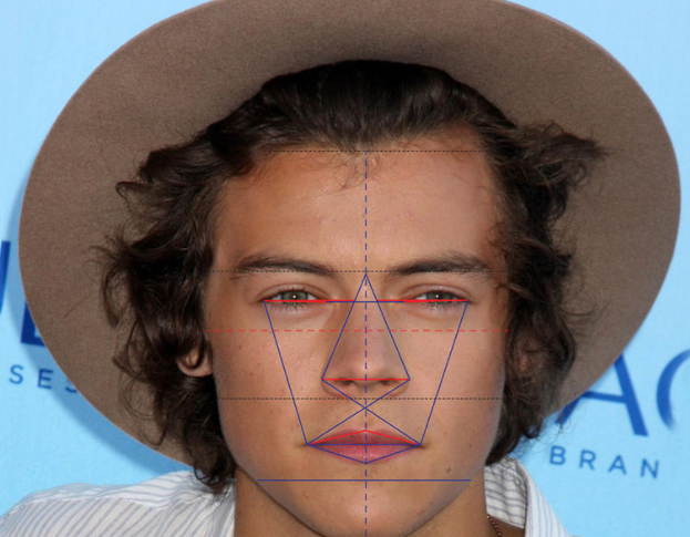 harry styles has the world s most handsome eyes and chin says