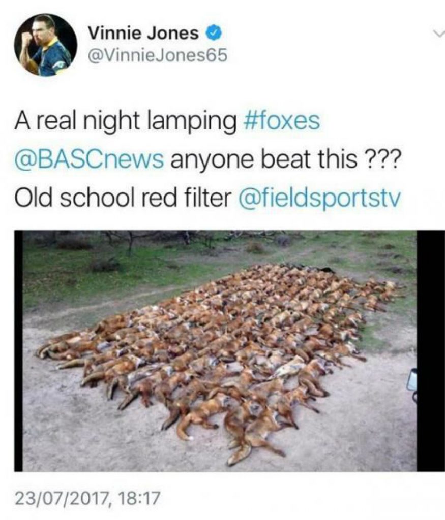 The controversial dead fox Tweet from Vinnie Jones' account