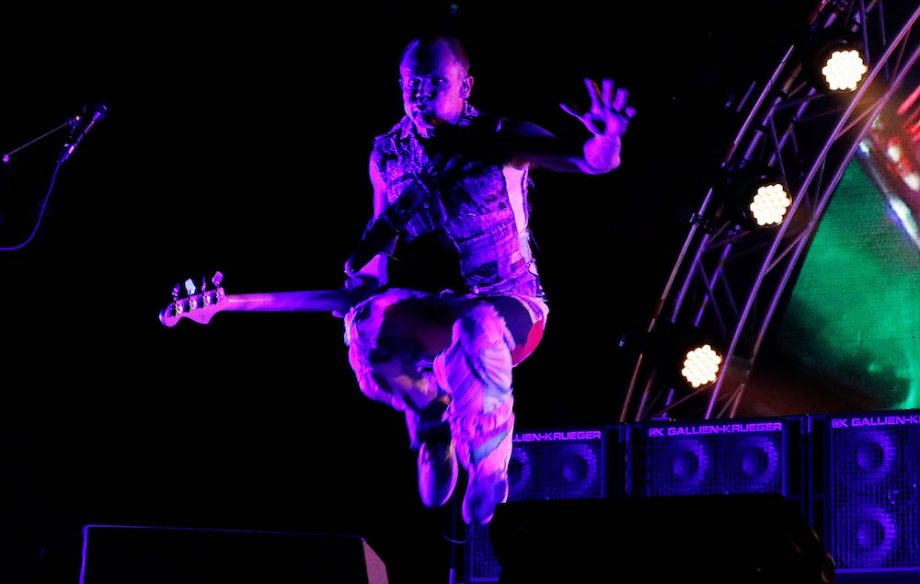 Red Hot Chili Peppers Meadows