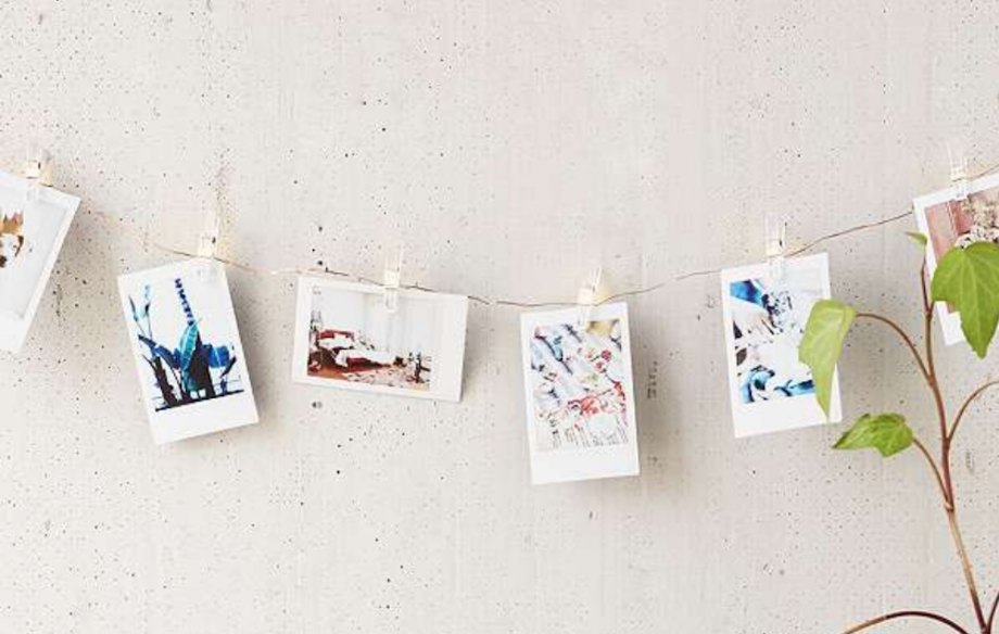 Firefly clips fairy lights