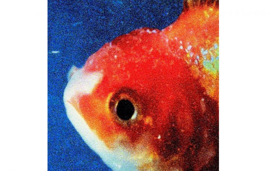 Vince Staples - 'Big Fish Theory'