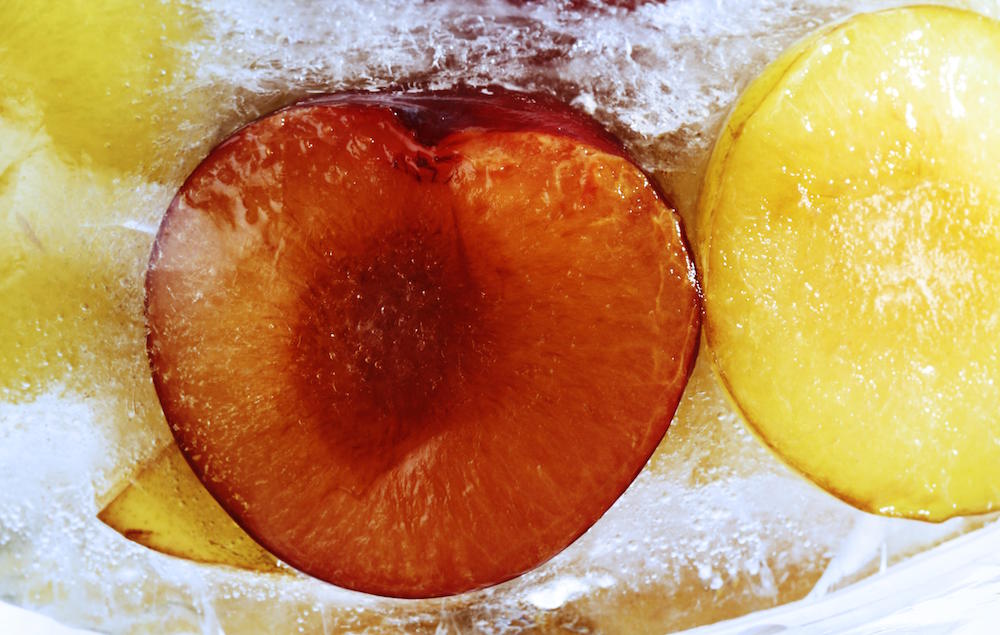 The Plum/Icebox meme discover the 83yearold origins of the Twitter joke