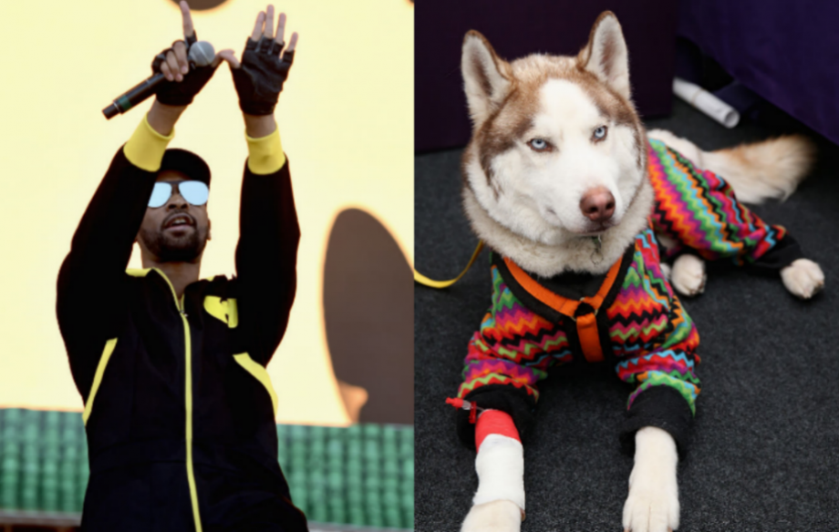 Woof Tang Clan