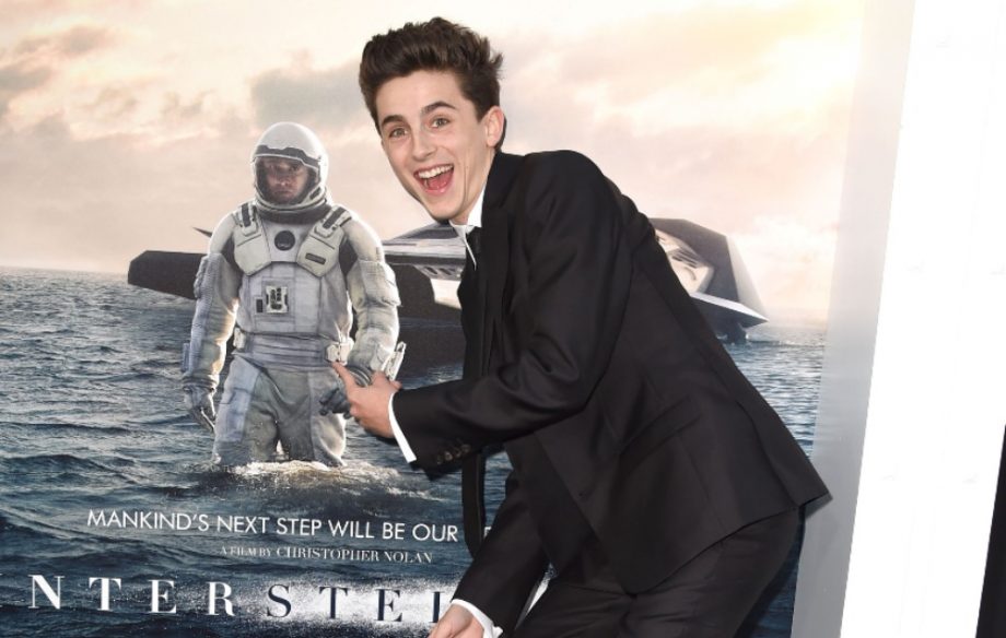 timothee chalamet red carpet pointing