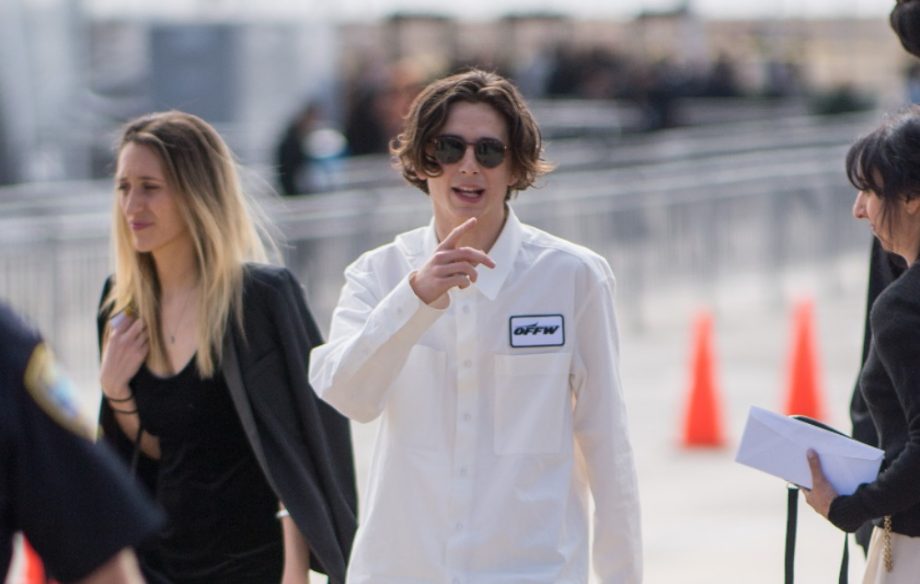 timothee chalamet red carpet pointing