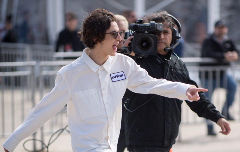 timothee chalamet red carpet pointing