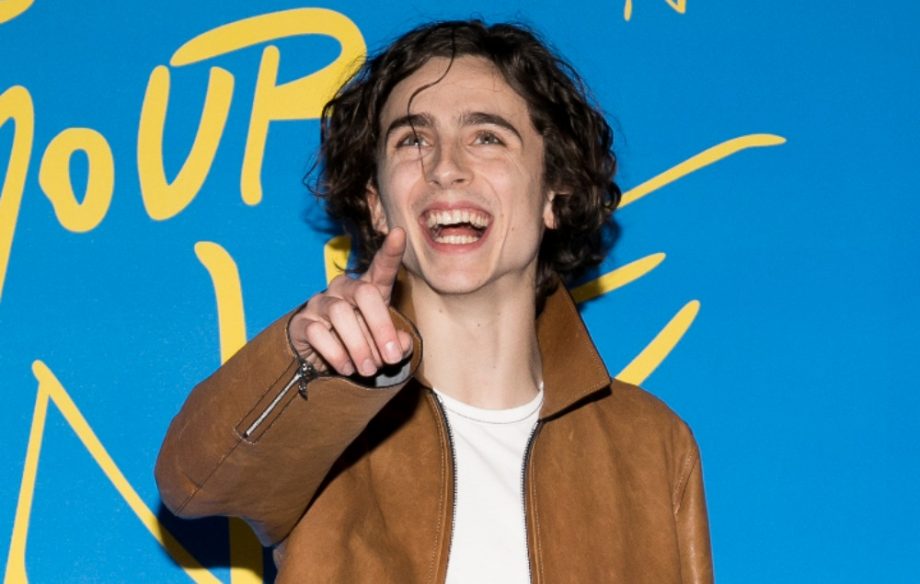 timothee chalamet red carpet pointing