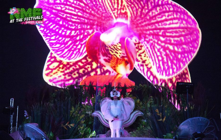 Bjork human behaviour all points east performance