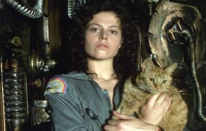 Jonsey, the cat from 'Alien',
