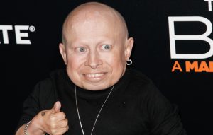 Verne Troyer's death