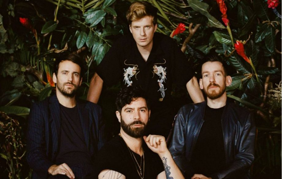 Foals