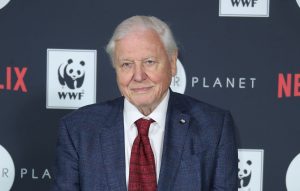 David Attenborough's new Netflix series 'Our Planet': release date, trailers and everything to know