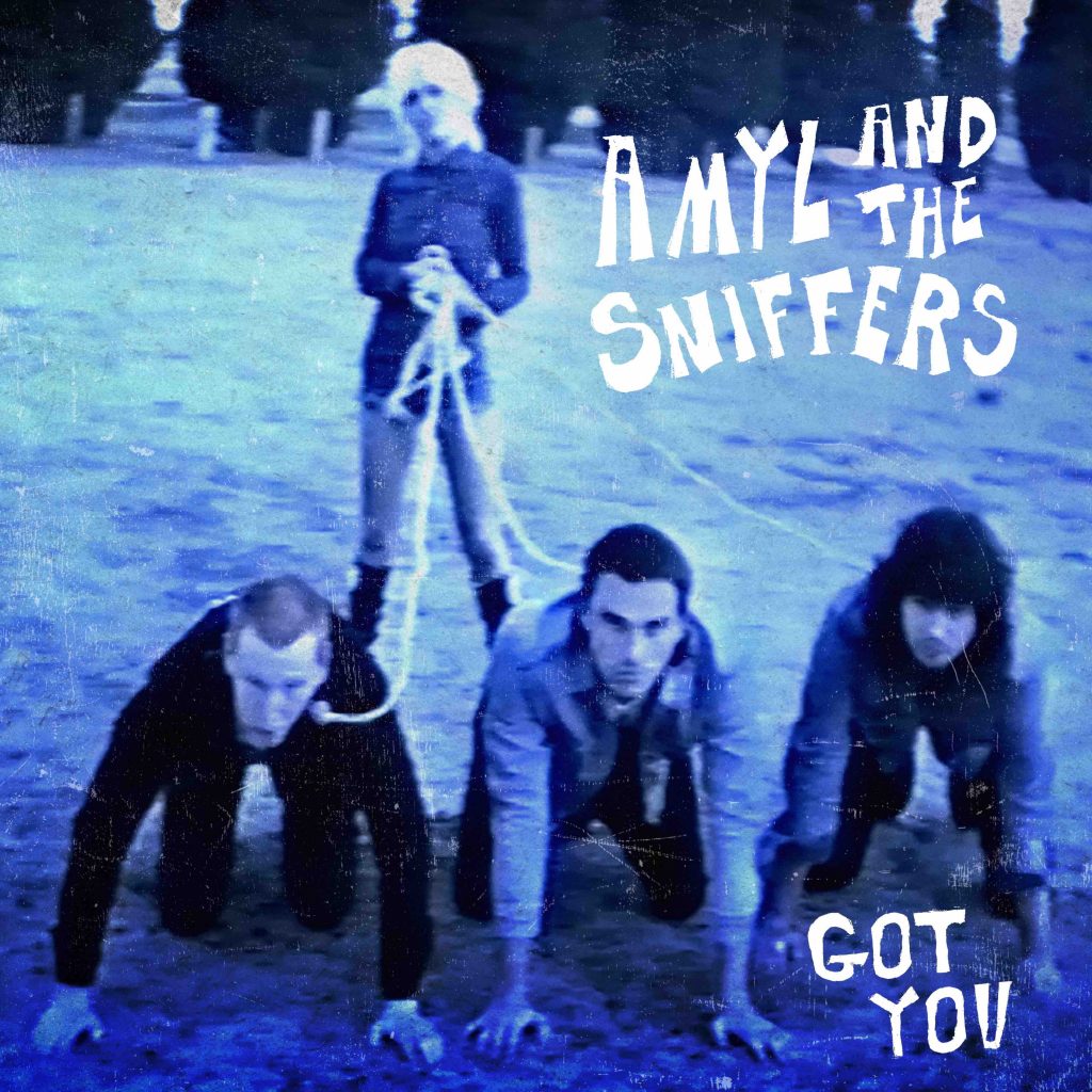 Amyl and the Sniffers