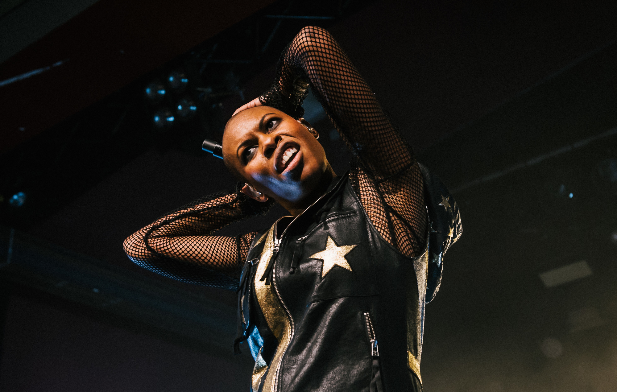 Skunk Anansie
