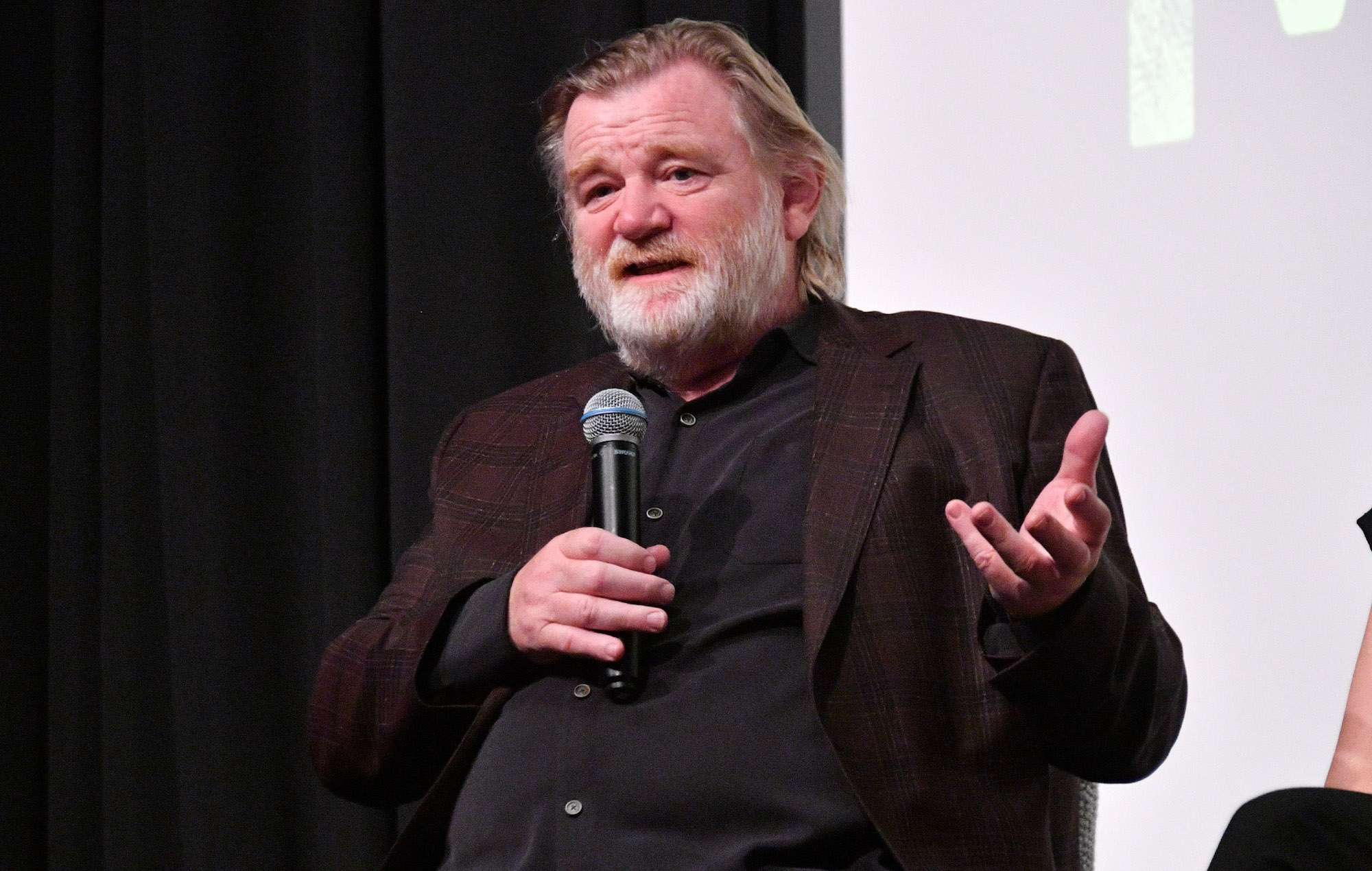 Brendan Gleeson