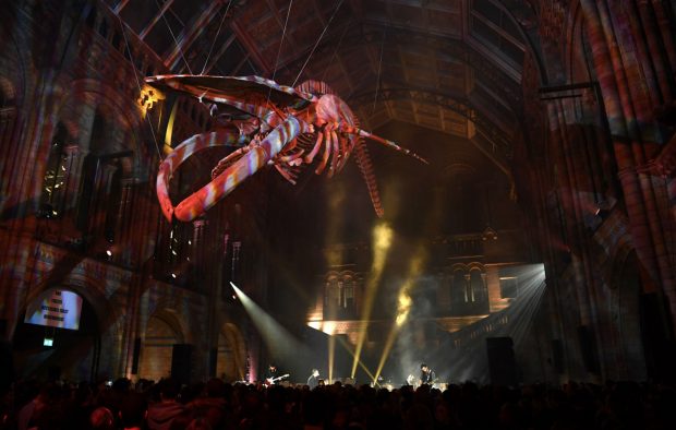 Coldplay Natural History Museum