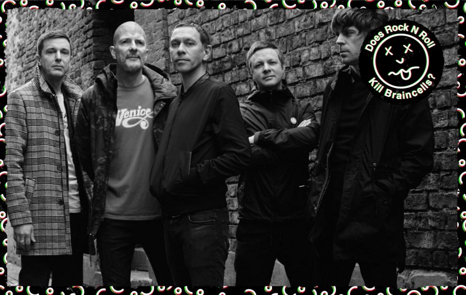 Does Rock 'N' Roll Kill Braincells - Rick Witter, Shed Seven NME interview